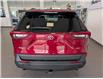 2019 Toyota RAV4 XLE (Stk: 250013a) in Mississauga - Image 7 of 24