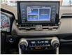 2019 Toyota RAV4 XLE (Stk: 250013a) in Mississauga - Image 12 of 24