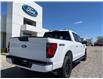 2025 Ford F-150 XLT (Stk: LFFF00275) in Tilbury - Image 3 of 15
