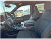2025 Ford F-150 XLT (Stk: LFFF00275) in Tilbury - Image 7 of 15