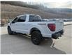 2025 Ford F-150 Tremor (Stk: 5T012) in Williams Lake - Image 3 of 13
