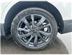 2024 Chevrolet Equinox RS (Stk: P25-18) in Embrun - Image 23 of 23