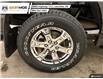 2022 Ford F-150  (Stk: F244509A) in Lacombe - Image 16 of 26