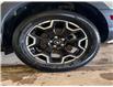 2025 Ford Bronco Sport Outer Banks (Stk: 25BR9) in St.Paul - Image 10 of 10