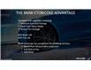 2025 BMW iX xDrive40 (Stk: S82261P) in Etobicoke - Image 2 of 22