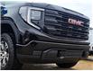 2025 GMC Sierra 1500 Pro (Stk: 73183) in Barrhead - Image 6 of 19