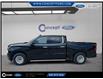 2019 Chevrolet Silverado 1500 High Country (Stk: F51724A) in GEORGETOWN - Image 3 of 13