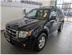 2011 Ford Escape XLT Automatic (Stk: 250308a) in Mississauga - Image 3 of 17