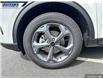 2025 Ford Escape ST-Line (Stk: 26995) in Dartmouth - Image 7 of 24