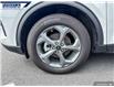 2025 Ford Escape ST-Line (Stk: 26956) in Dartmouth - Image 7 of 24
