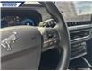 2025 Ford Bronco Sport Big Bend (Stk: 26926) in Dartmouth - Image 15 of 24