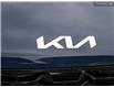 2025 Kia Sorento 2.5T EX (Stk: 25SN4520) in Edmonton - Image 9 of 27