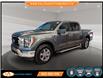 2023 Ford F-150 XLT (Stk: E88320) in Lower Sackville - Image 1 of 24