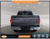 2023 Ford F-150 XLT (Stk: E88320) in Lower Sackville - Image 6 of 24