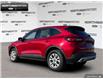 2025 Ford Escape Active (Stk: 5EC9700) in Brantford - Image 4 of 23