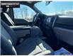 2018 Ford F-150 XLT (Stk: P11581) in Brantford - Image 20 of 23