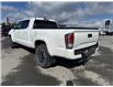 2020 Toyota Tacoma  (Stk: X048150M) in Cranbrook - Image 3 of 18
