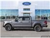 2025 Ford F-150 Tremor (Stk: SK-203) in Okotoks - Image 3 of 25