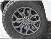 2025 Ford F-150 Tremor (Stk: SK-126) in Okotoks - Image 8 of 25
