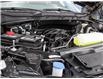 2025 Ford F-150 XLT (Stk: SK-236) in Okotoks - Image 6 of 25