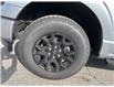 2025 Ford F-150 XLT (Stk: VF1F00762) in Chatham - Image 7 of 19