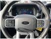 2025 Ford F-150 XLT (Stk: VF1F00762) in Chatham - Image 14 of 19