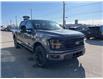 2025 Ford F-150 XLT (Stk: VF1F00761) in Chatham - Image 5 of 22