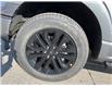 2025 Ford F-150 XLT (Stk: VF1F00761) in Chatham - Image 7 of 22
