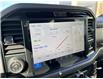 2025 Ford F-150 XLT (Stk: VF1F00761) in Chatham - Image 18 of 22