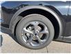 2025 Ford Escape ST-Line (Stk: VFEP00719) in Chatham - Image 7 of 19