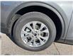 2025 Ford Escape Active (Stk: VFEP00723) in Chatham - Image 7 of 19