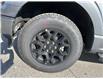 2025 Ford F-150 XLT (Stk: VF1F00589) in Chatham - Image 7 of 21