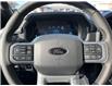 2025 Ford F-150 XLT (Stk: VF1F00589) in Chatham - Image 14 of 21