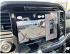 2025 Ford F-150 XLT (Stk: VF1F00589) in Chatham - Image 19 of 21