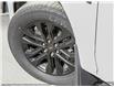 2025 Ford F-150 XLT (Stk: S-911) in Calgary - Image 8 of 23