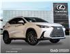 2025 Lexus NX 350h Base (Stk: 25477) in Toronto - Image 1 of 12