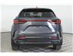 2025 Lexus NX 350 Base (Stk: 14109602) in Markham - Image 6 of 20