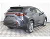 2025 Lexus NX 350 Base (Stk: 14109602) in Markham - Image 7 of 20