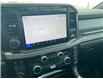 2024 Ford F-250 Platinum (Stk: 2024-243) in New Liskeard - Image 16 of 16