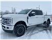 2024 Ford F-250 Platinum (Stk: 2024-243) in New Liskeard - Image 4 of 16