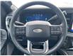 2024 Ford F-250 Platinum (Stk: 2024-243) in New Liskeard - Image 15 of 16