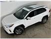 2024 Toyota RAV4 XLE (Stk: 42326J) in Belleville - Image 2 of 27