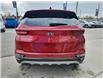 2022 Kia Sportage EX Premium S (Stk: N16896) in Newmarket - Image 6 of 25