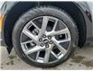 2025 Cadillac OPTIQ Luxury (Stk: S180936) in Newmarket - Image 9 of 20