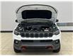 2023 Jeep Compass Trailhawk (Stk: T557246) in Courtenay - Image 9 of 16