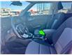2023 Kia Soul  (Stk: W6041) in Gatineau - Image 8 of 12