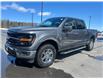 2024 Ford F-150 XLT (Stk: P25-17) in Embrun - Image 8 of 22
