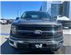 2024 Ford F-150 XLT (Stk: P25-17) in Embrun - Image 9 of 22
