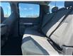 2024 Ford F-150 XLT (Stk: P25-17) in Embrun - Image 16 of 22