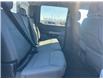 2024 Ford F-150 XLT (Stk: P25-17) in Embrun - Image 18 of 22